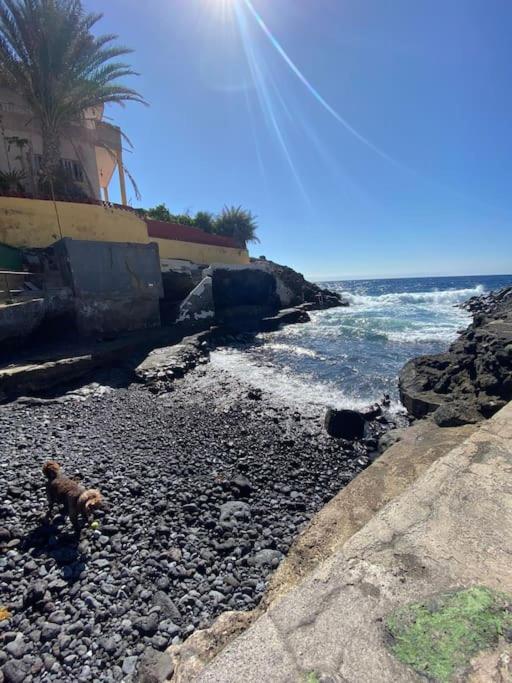 Apartamento Coqueto Piso A 2 Min De La Playa