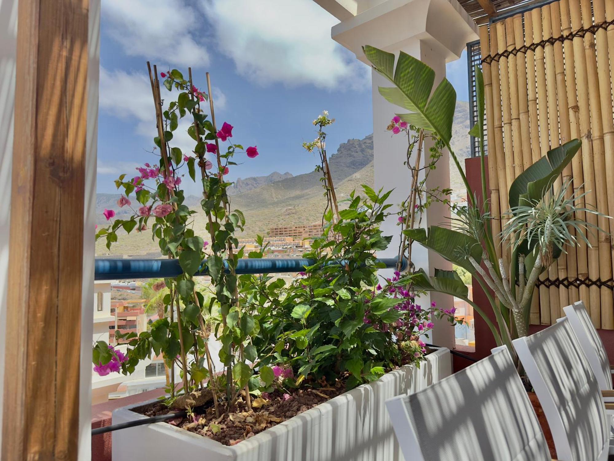 Sunset Hideaway-roque Del Conde Apartment *
