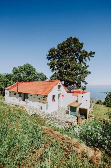 Villa El Pino Centenario 4b *
