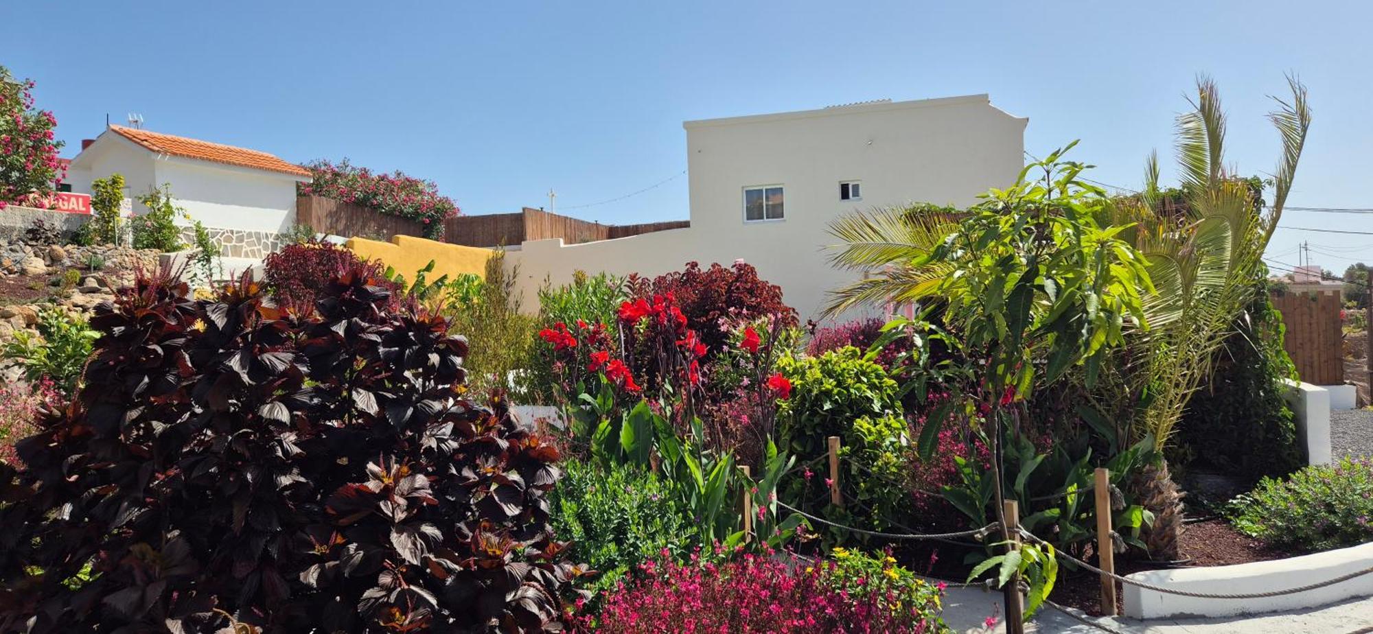 Luxury tent Domes1 Tenerife, Lujo Con El Encanto De Acampar *