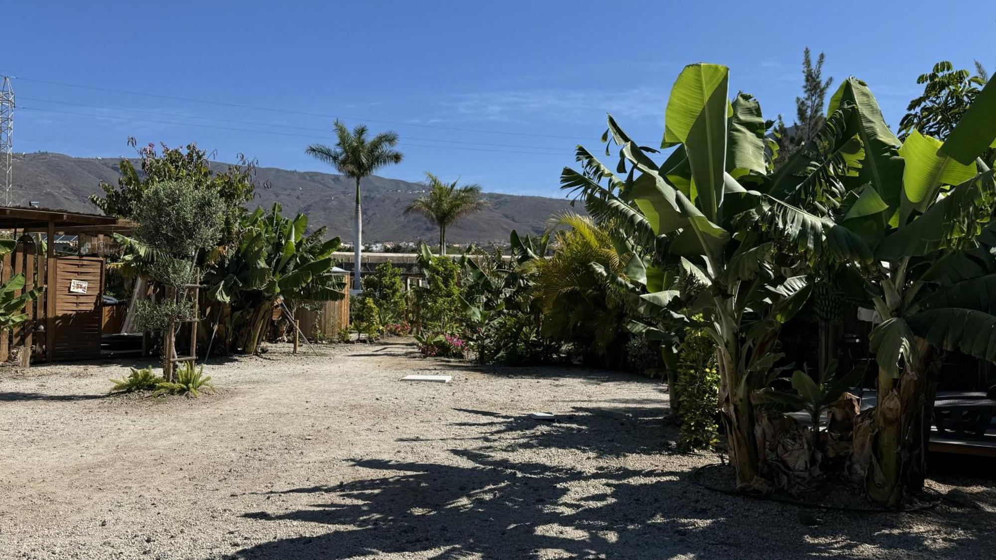 Hayati, Romantica Arona (Tenerife)