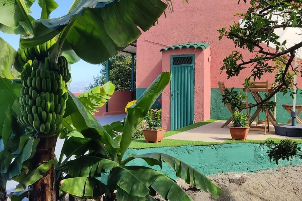 Casa Mamatina, En Realejos
