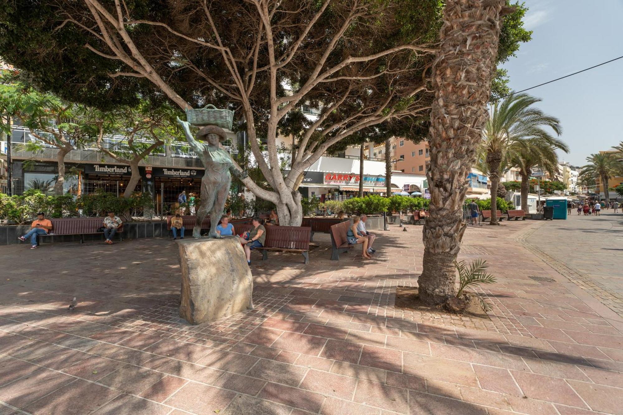 Apto Tomasol * Los Cristianos (Tenerife)