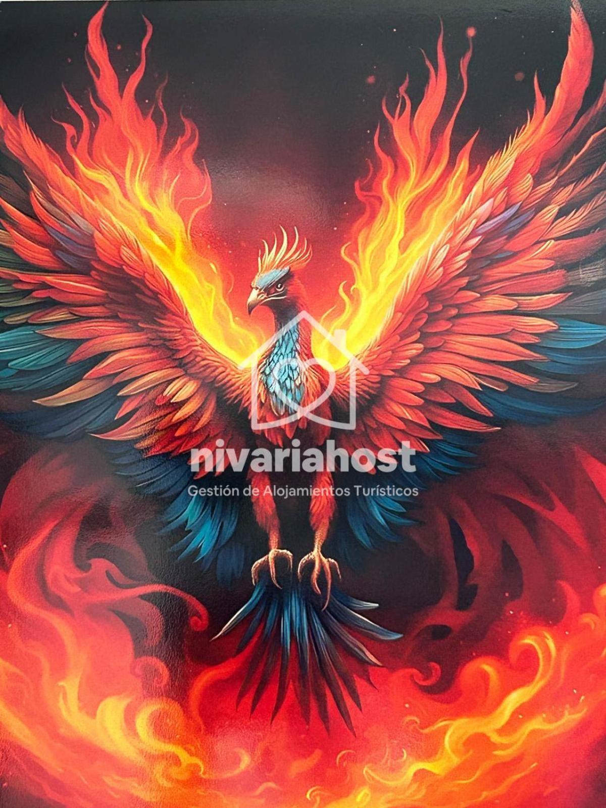 Ave Fenix San Isidro, By Nivariahost San Isidro (Tenerife)