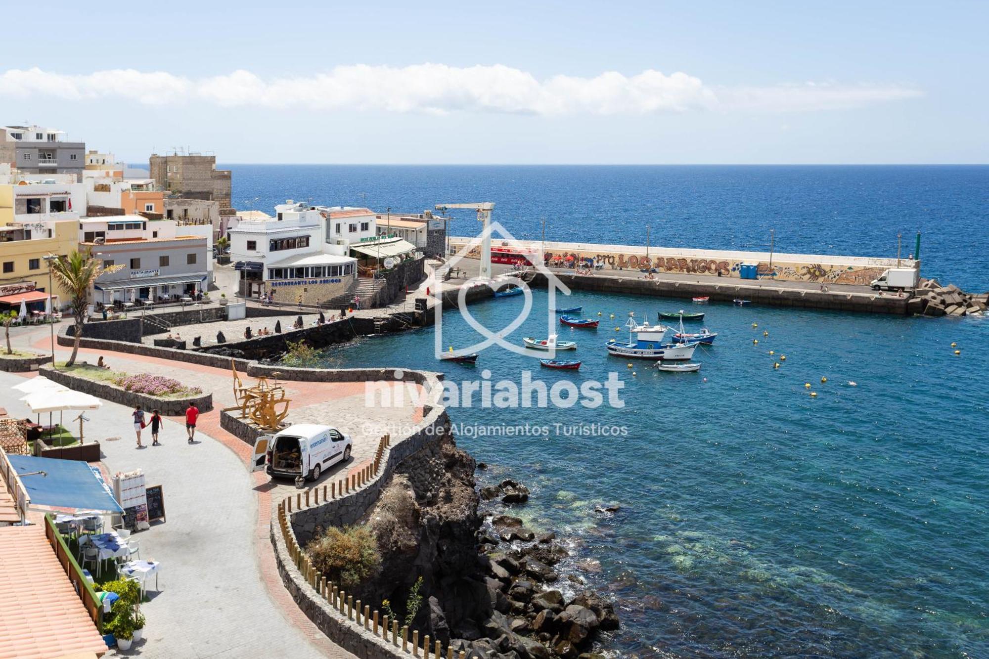 Ave Fenix San Isidro, By Nivariahost San Isidro (Tenerife)