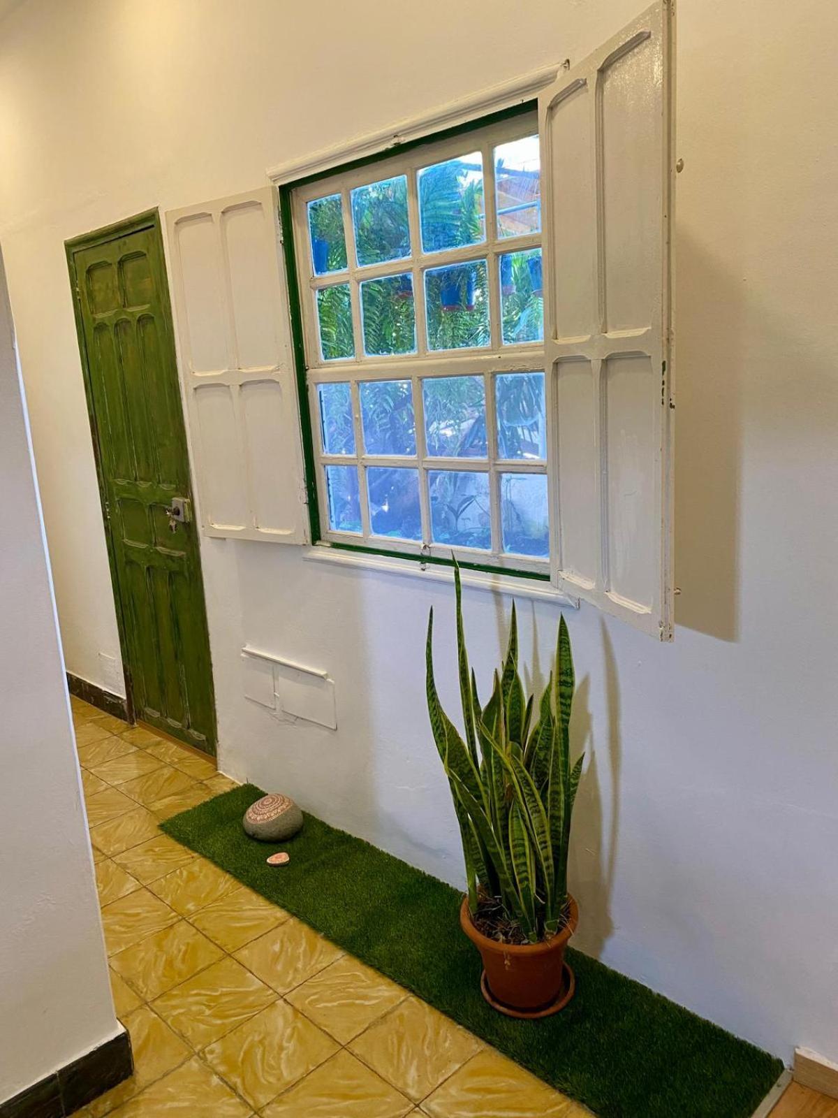 Espacio Antares Holiday home Icod De Los Vinos