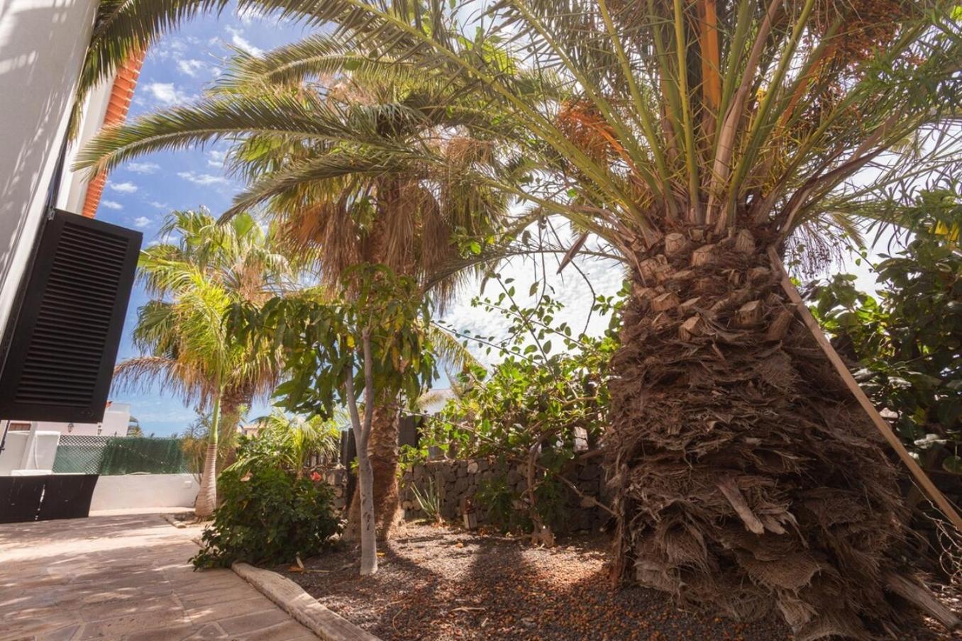 Villa 3h La Quinta San Miguel de Abona