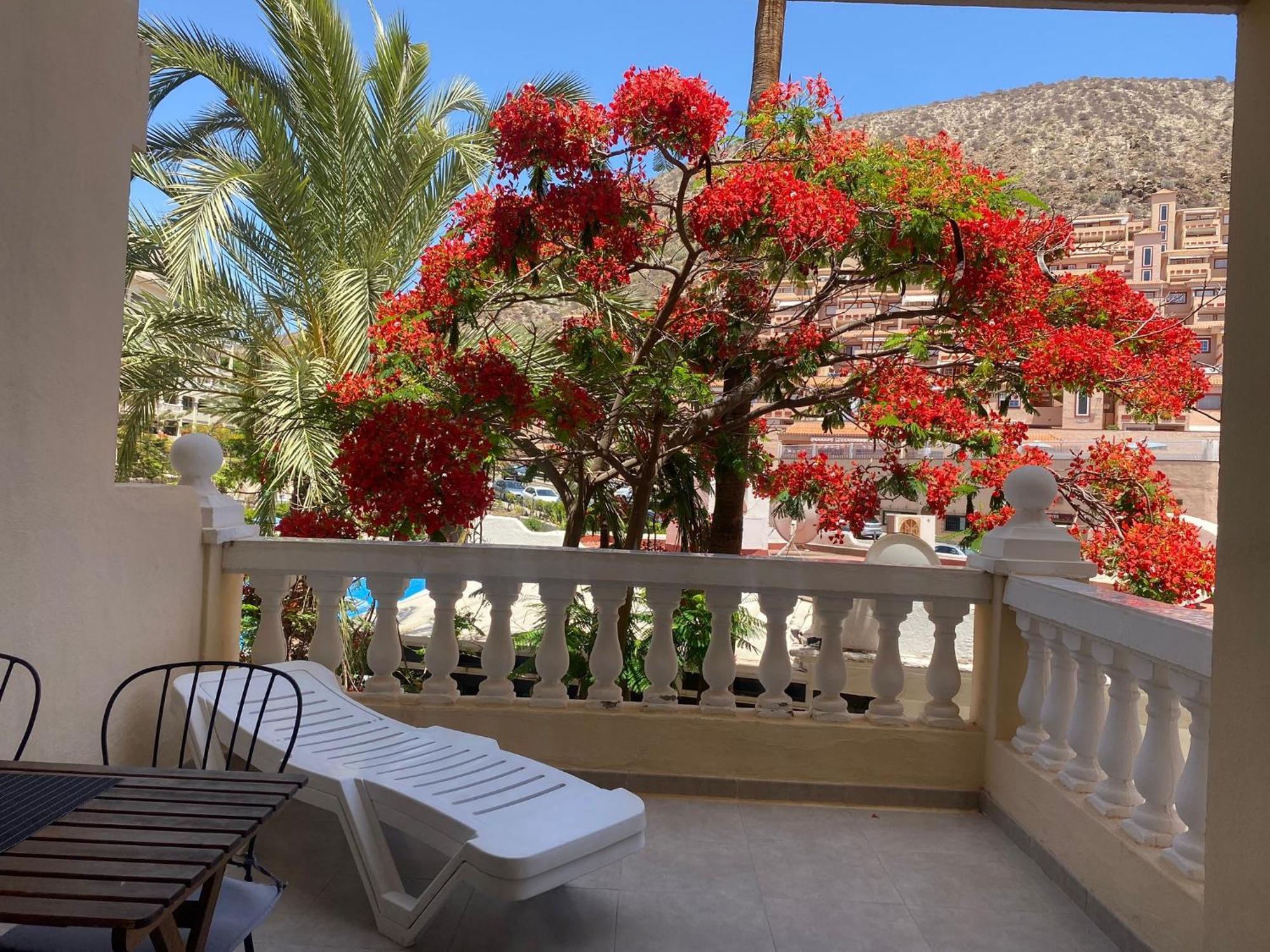 Castle Harbour Samuel's Flat By Lovetenerife Los Cristianos (Tenerife)