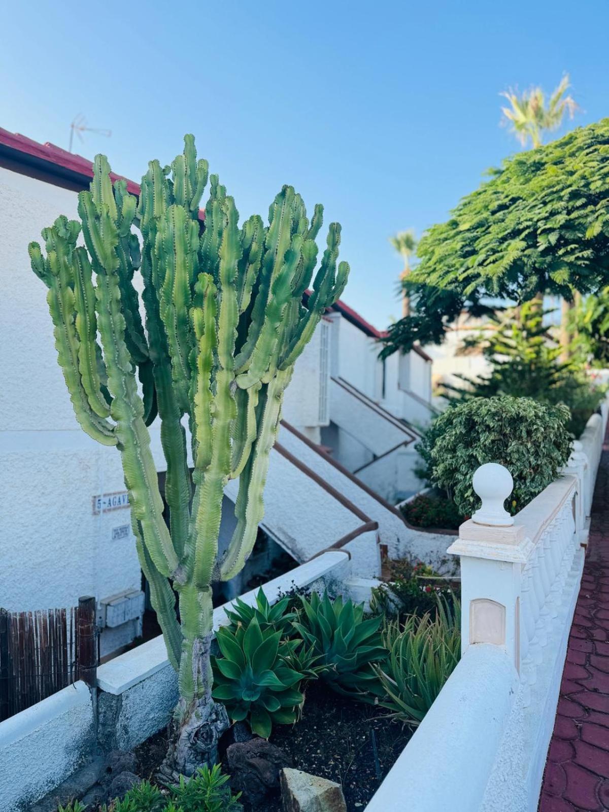 Miraverde Oasis - Heated Pool - Ac Apartment