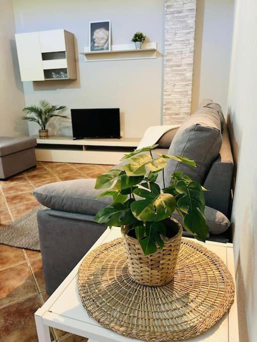 Apartment Casa El Pino B Vera de Erque