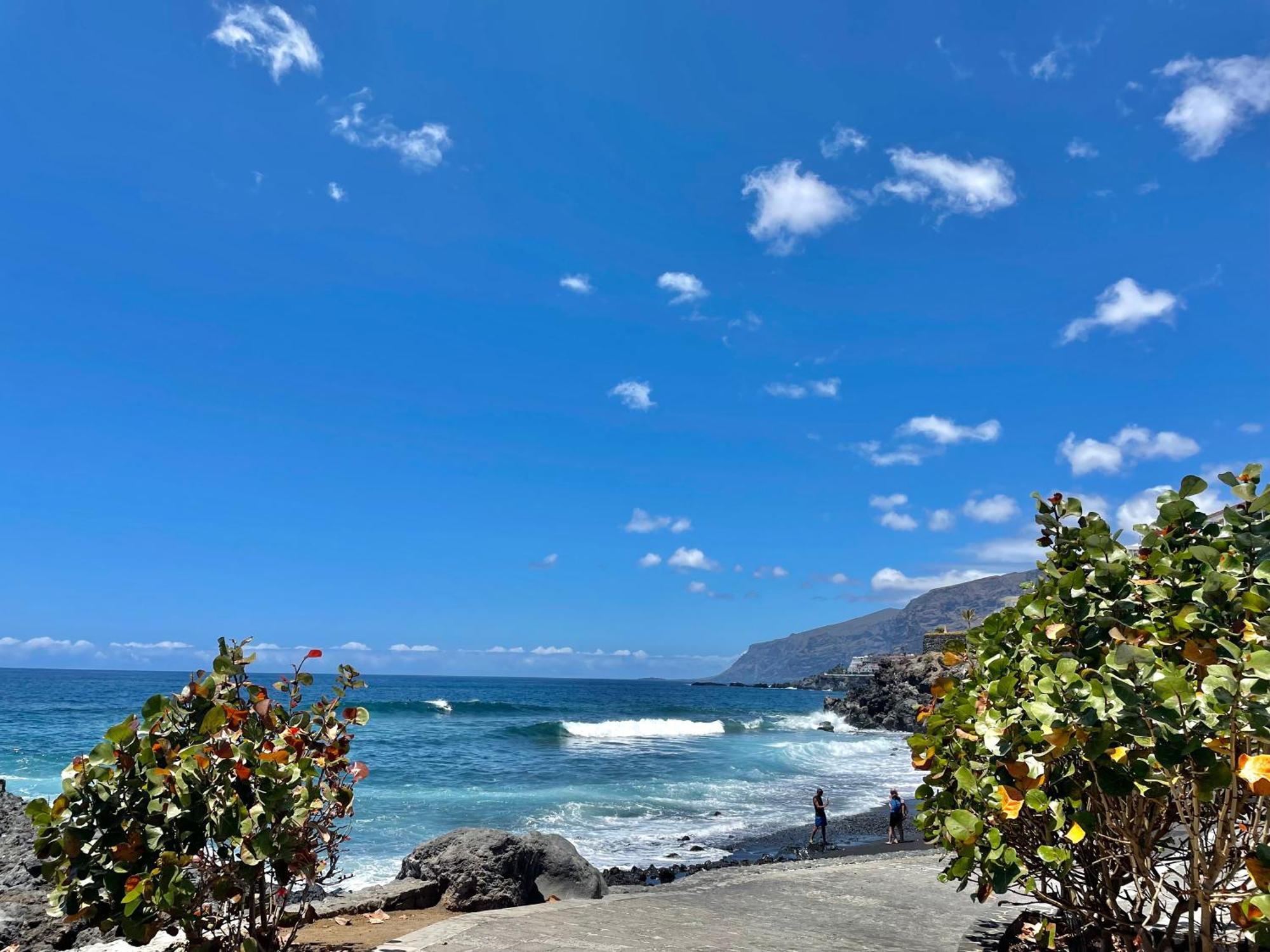 Apartamento Blue Garden Puerto de Santiago (Tenerife)