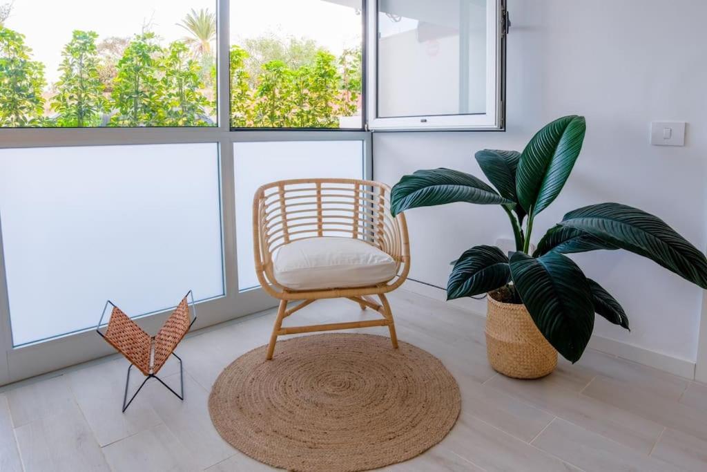 Casa Kai Appartement