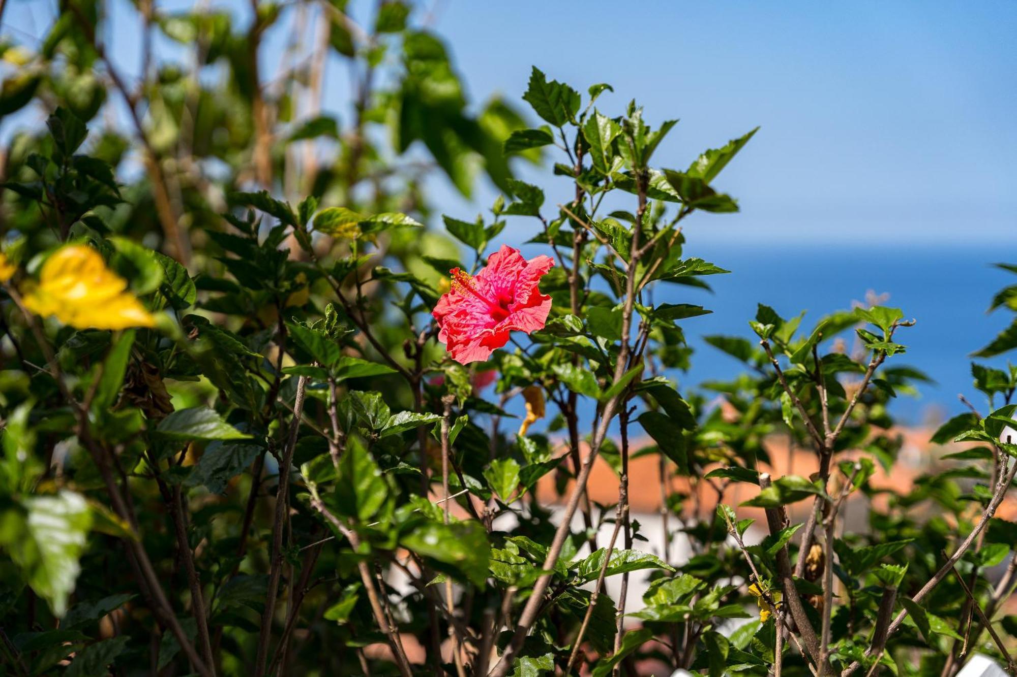 Holiday home Carmen *
