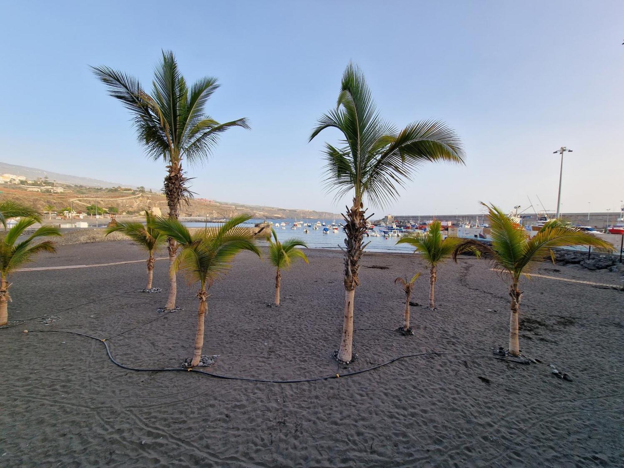 Hada Coast Southern Tenerife By Hrtenerife Net Playa de San Juan (Tenerife)