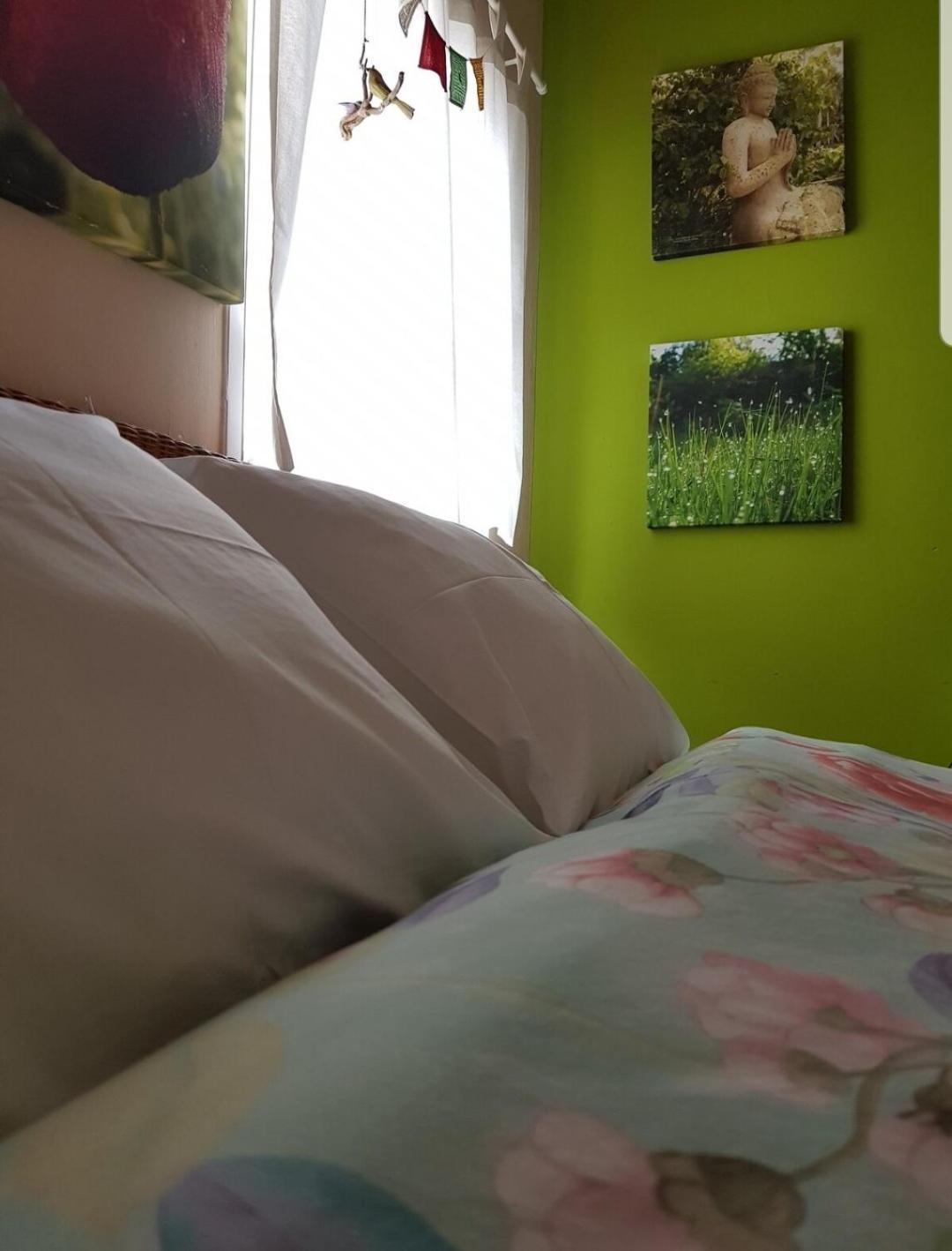 Guest house The Poppies Private Space 100M Ocean Candelaria