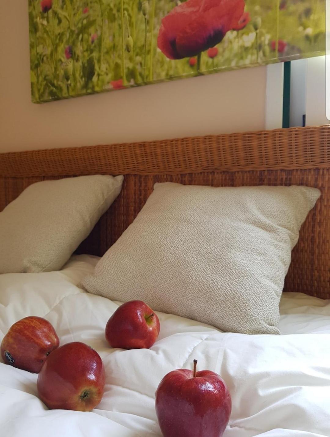 The Poppies Private Space 100M Ocean Guest house