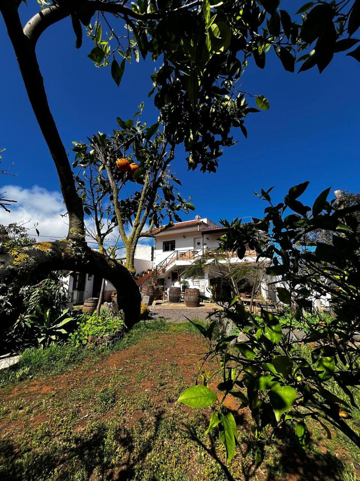 El Sueño De Mamá Asociación Y Grupos Habitación en casa particular *