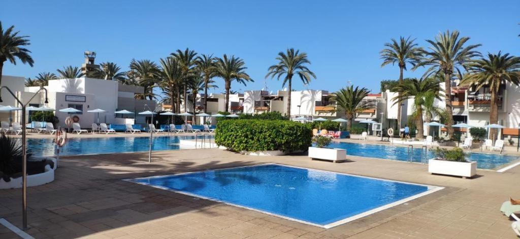 Oasis Appartement