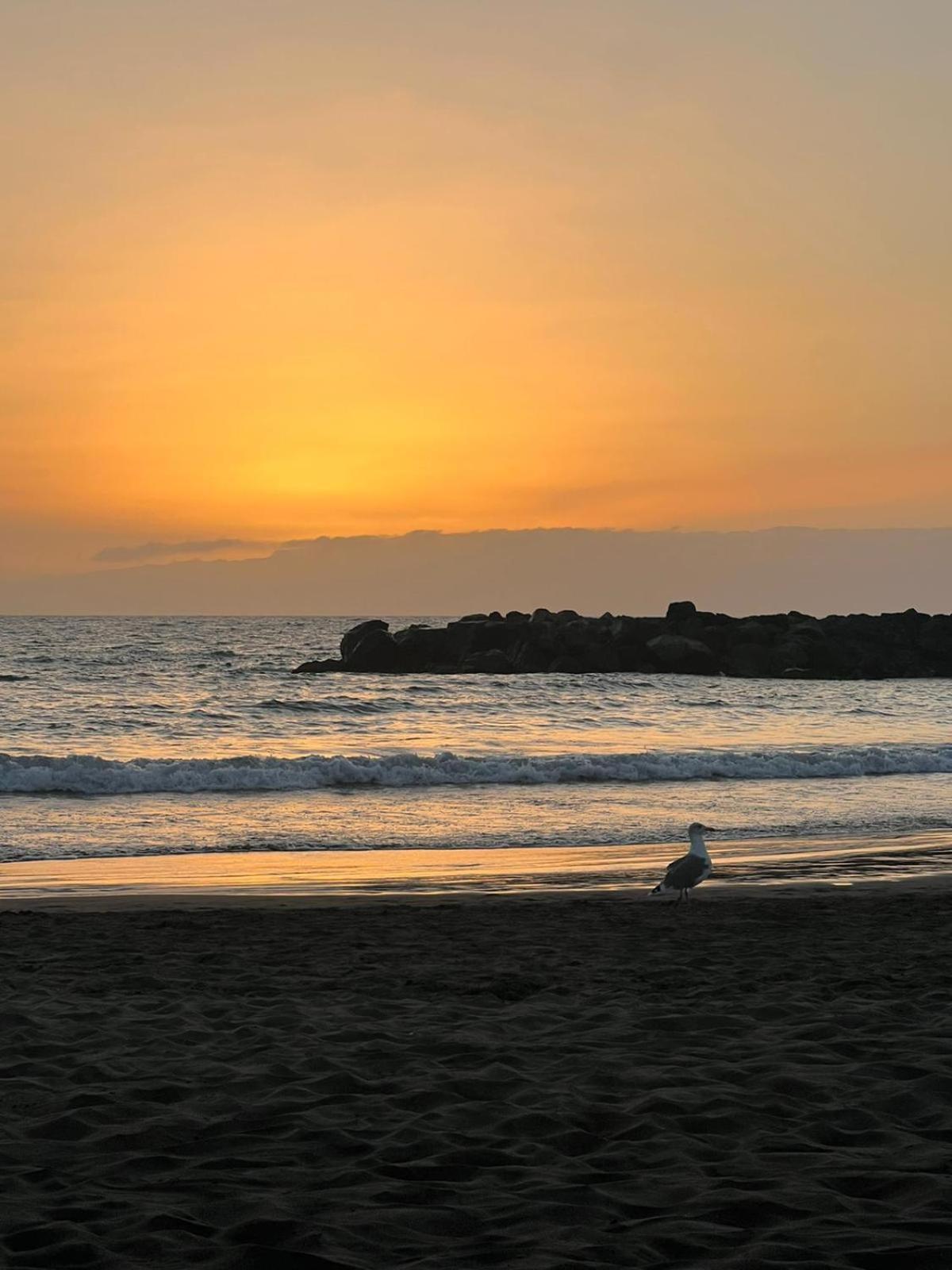 En Primera Línea De Playa, Céntrico, Tranquilo