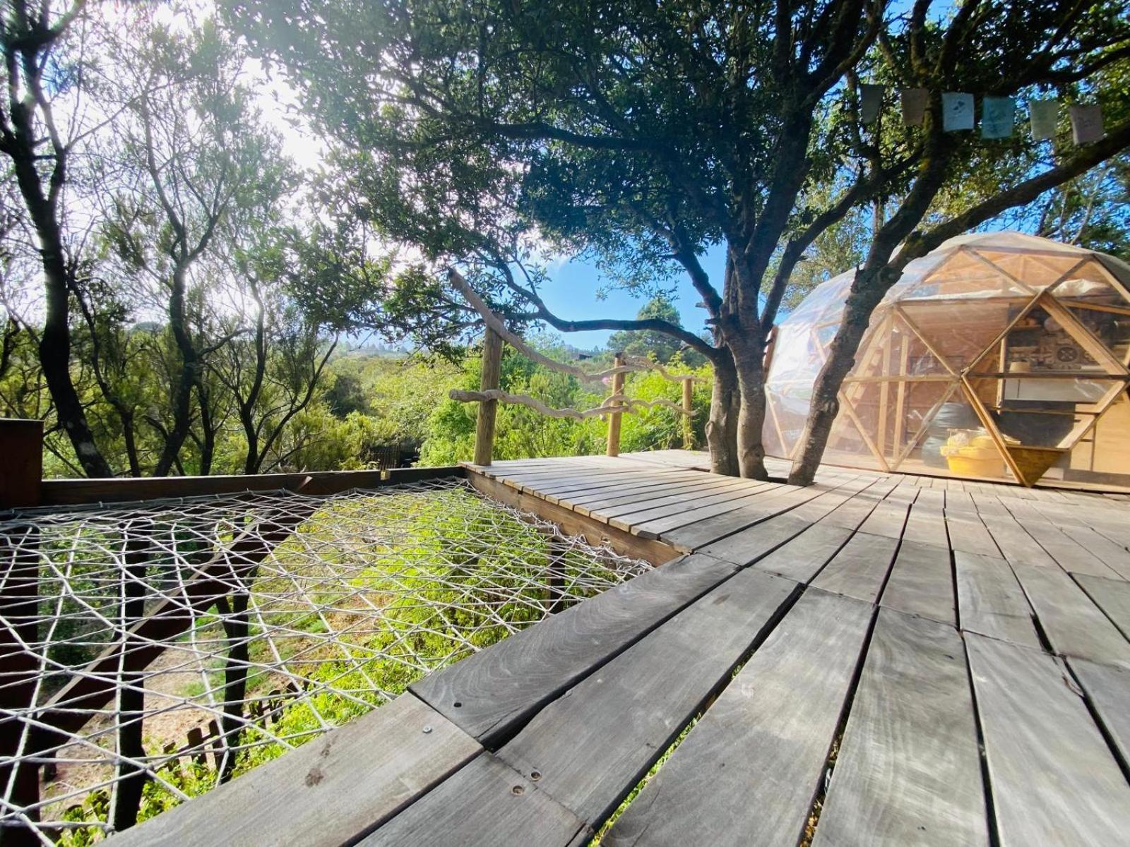 Eco-resort Domo Maestra *