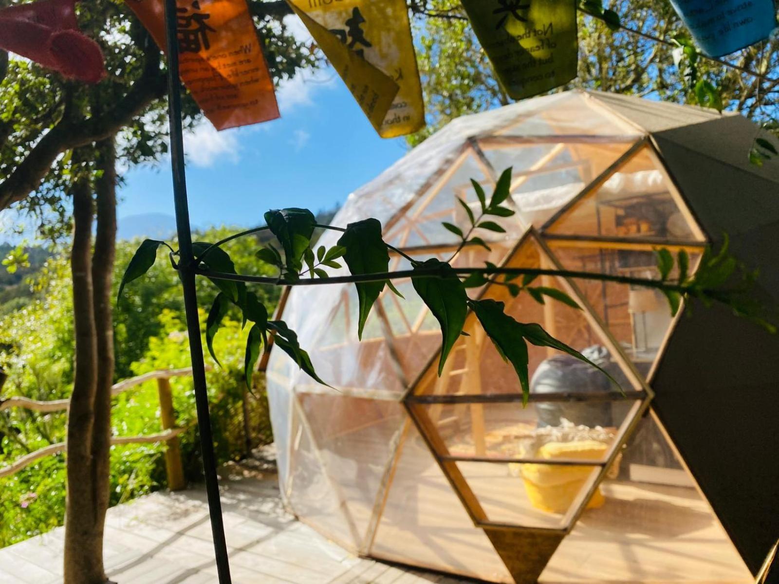 Eco-resort Domo Maestra *