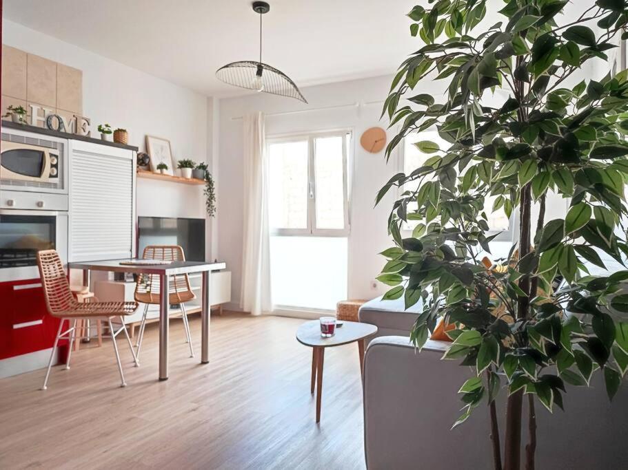 Appartement Vacational Dreams Santa-Cruz de Ténérife