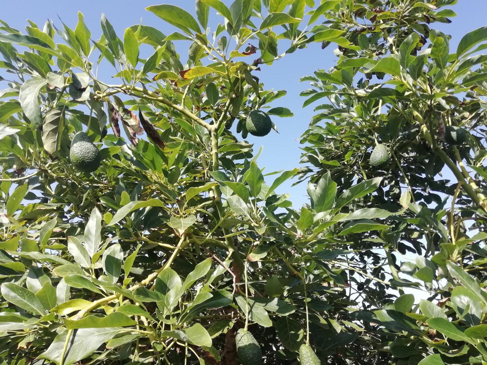 Сasa de vacaciones Tapias, Glorieta *