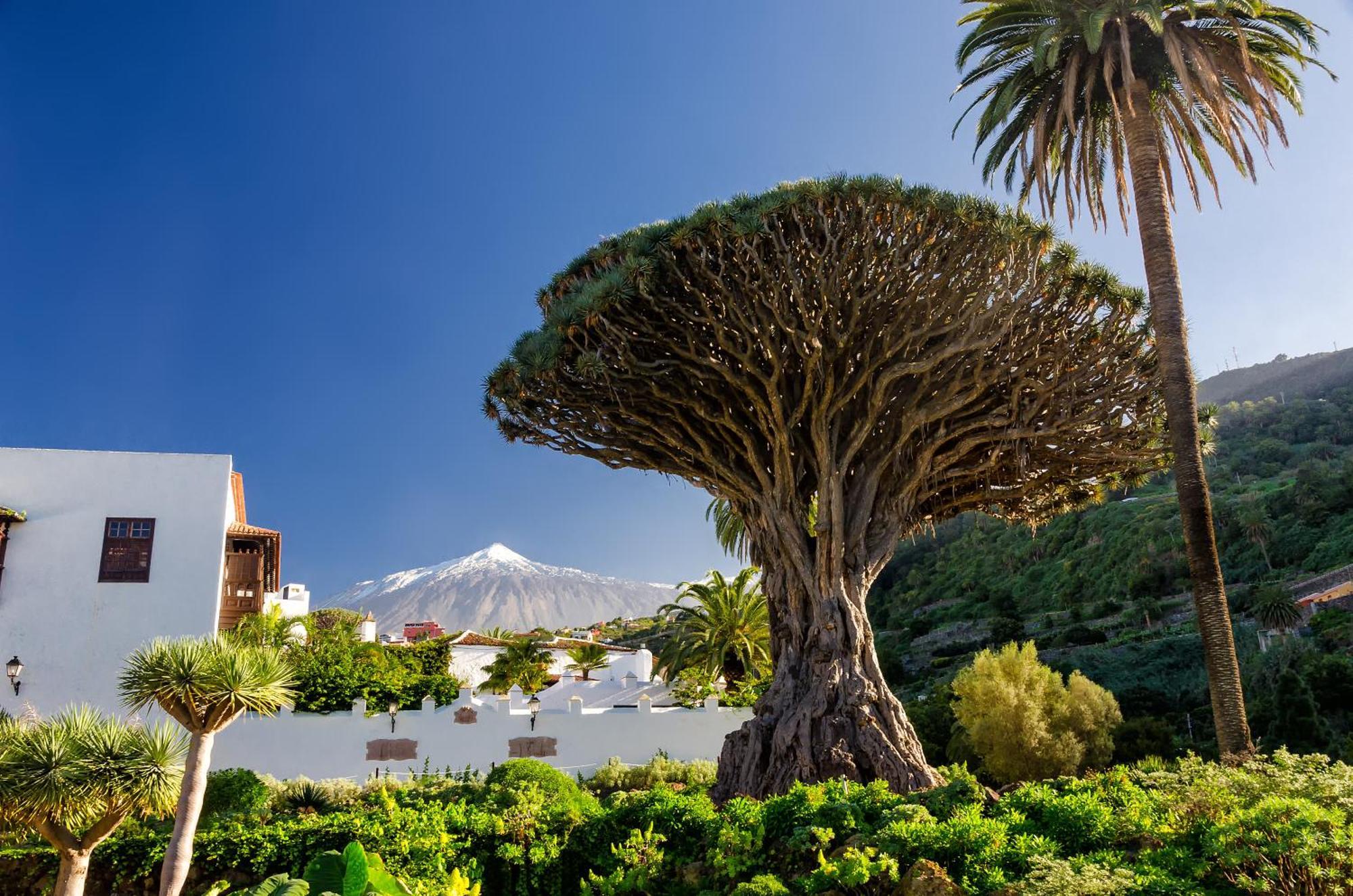 Apartment Eden Rincon De Miramar El Medano (Tenerife)