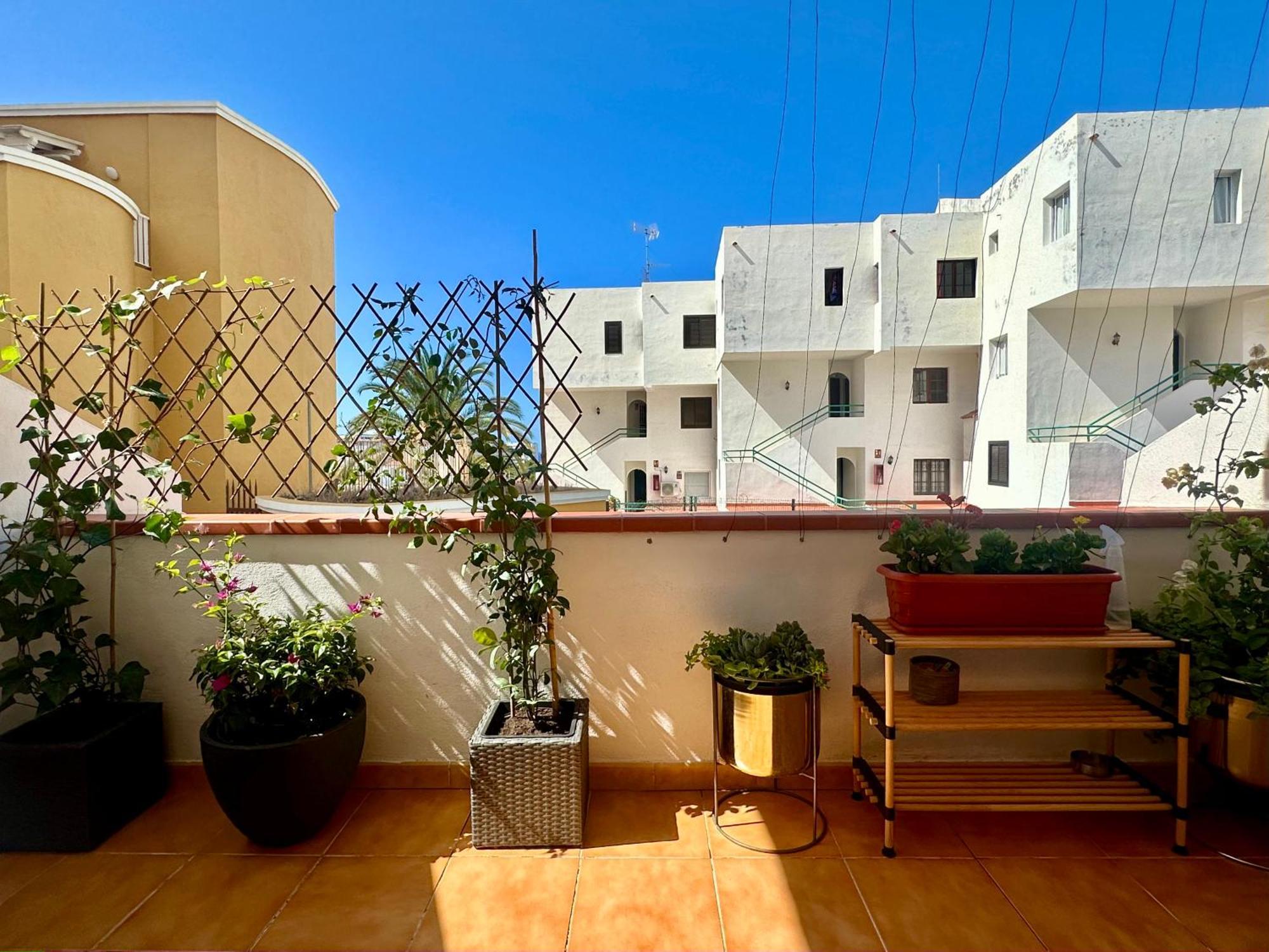 Apartment In Ocean Park Ii, Costa Adeje, Tenerife Costa Adeje (Tenerife)
