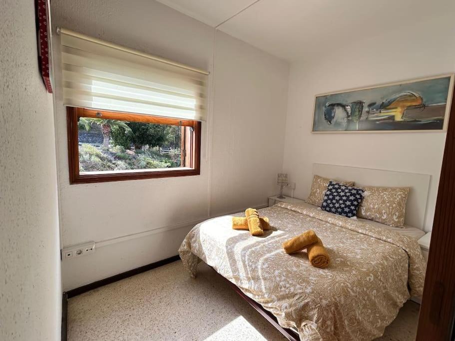 Larisa House San Marcos (Tenerife)