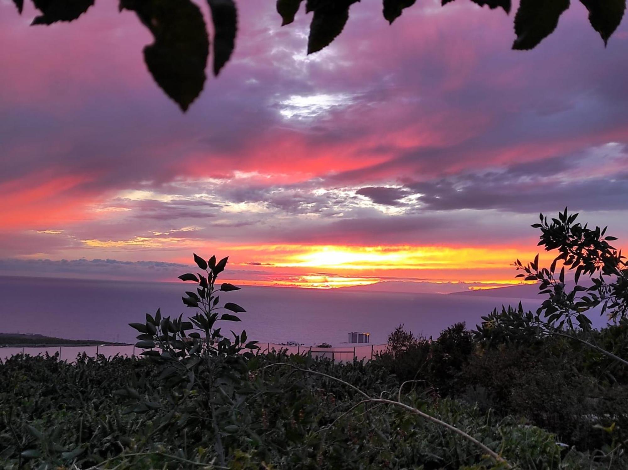 Enchanting Dream View A5, Atalaya In Costa Adeje (Tenerife)