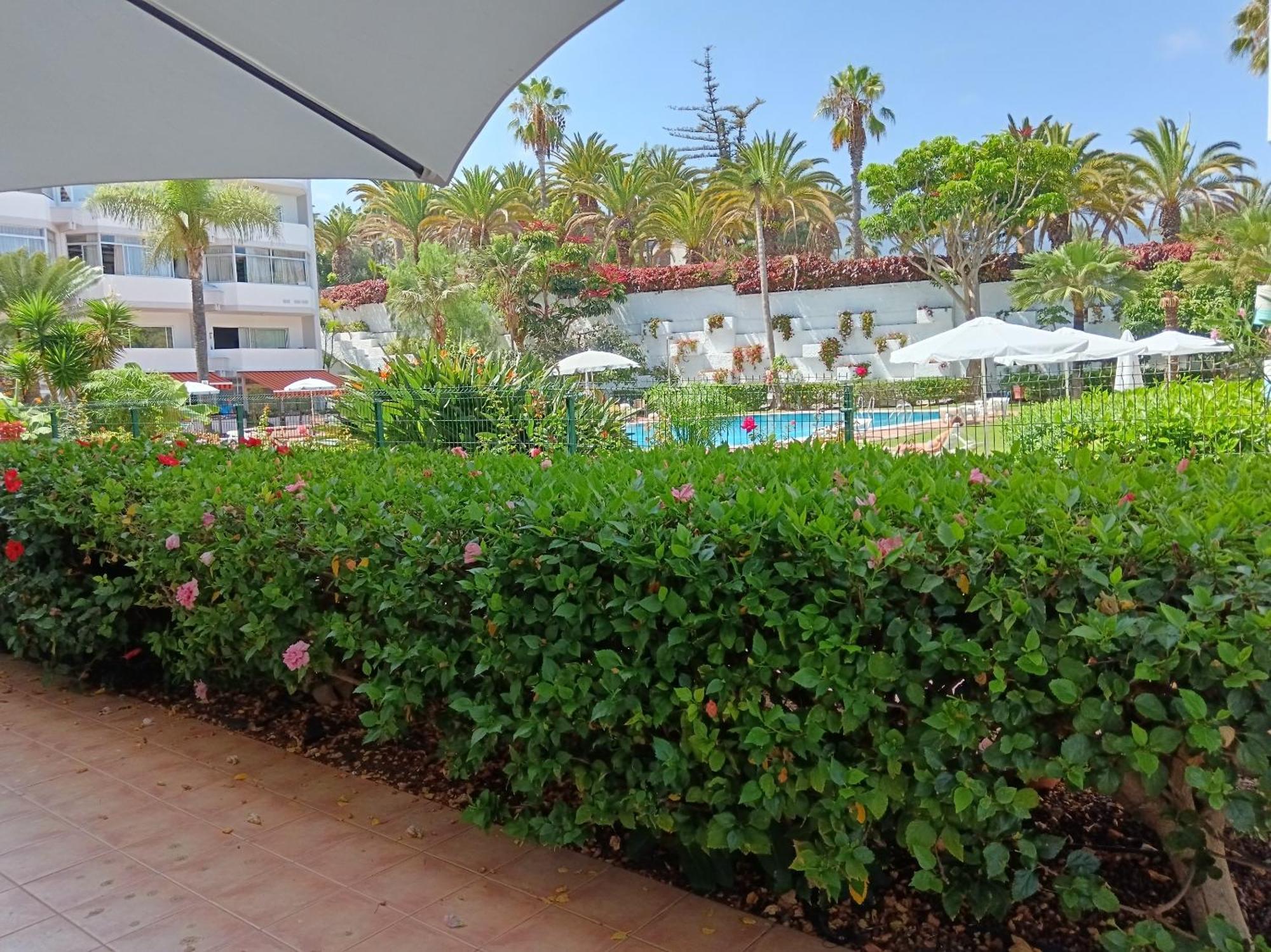 Molino Blanco 107 Apartamento Puerto de la Cruz (Tenerife)
