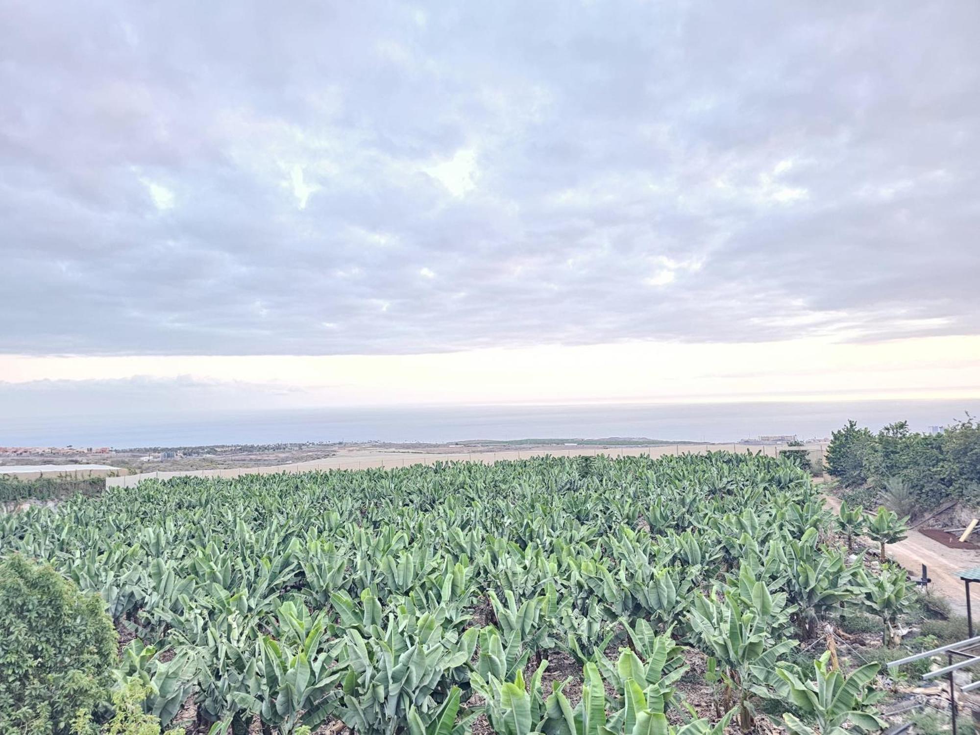 Enchanting Dream View A5, Atalaya In