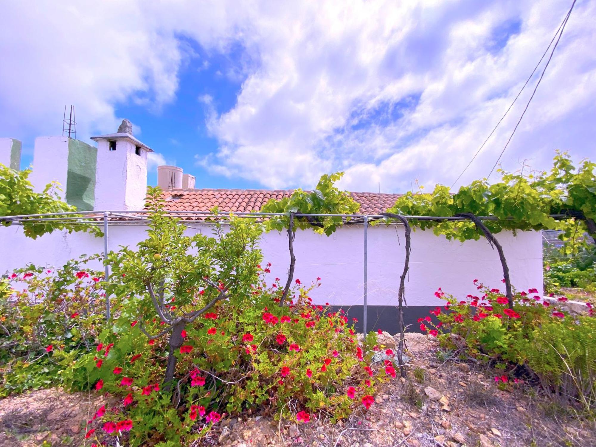 Tropicalidays Mountain Haven Retreat Vilaflor