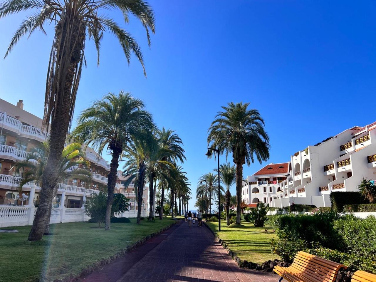 Seafront New Modern