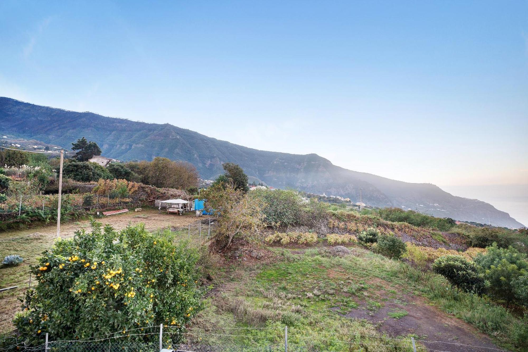 Holiday home Casita Rural La Pinera Los Realejos