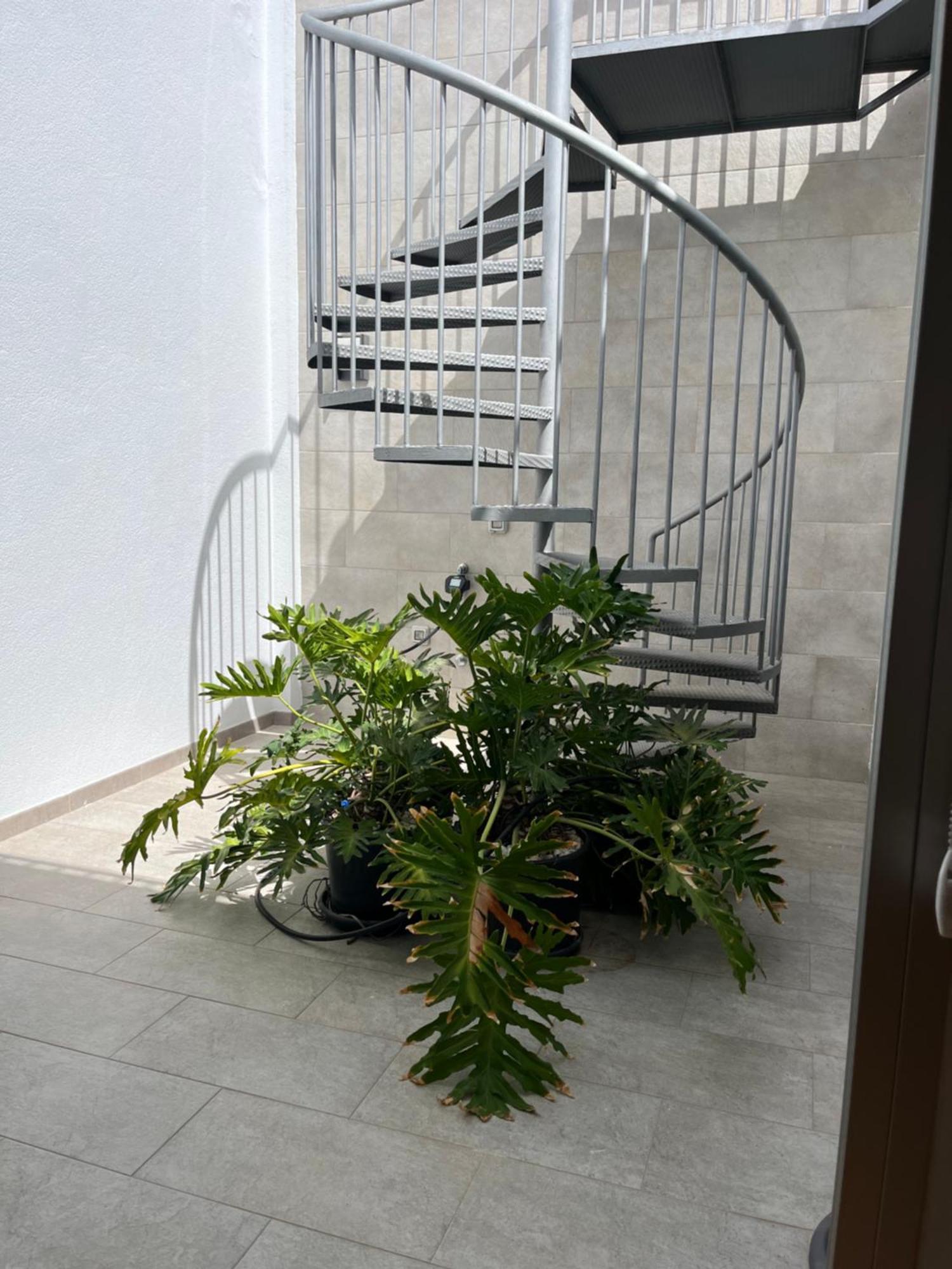 Casa La Familia