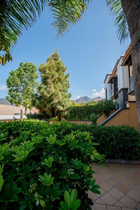 19 Duquesa Del Duque 3 Bedrooms * Costa Adeje (Tenerife)