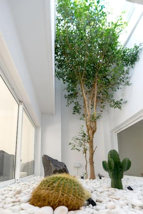 19 Duquesa Del Duque 3 Bedrooms