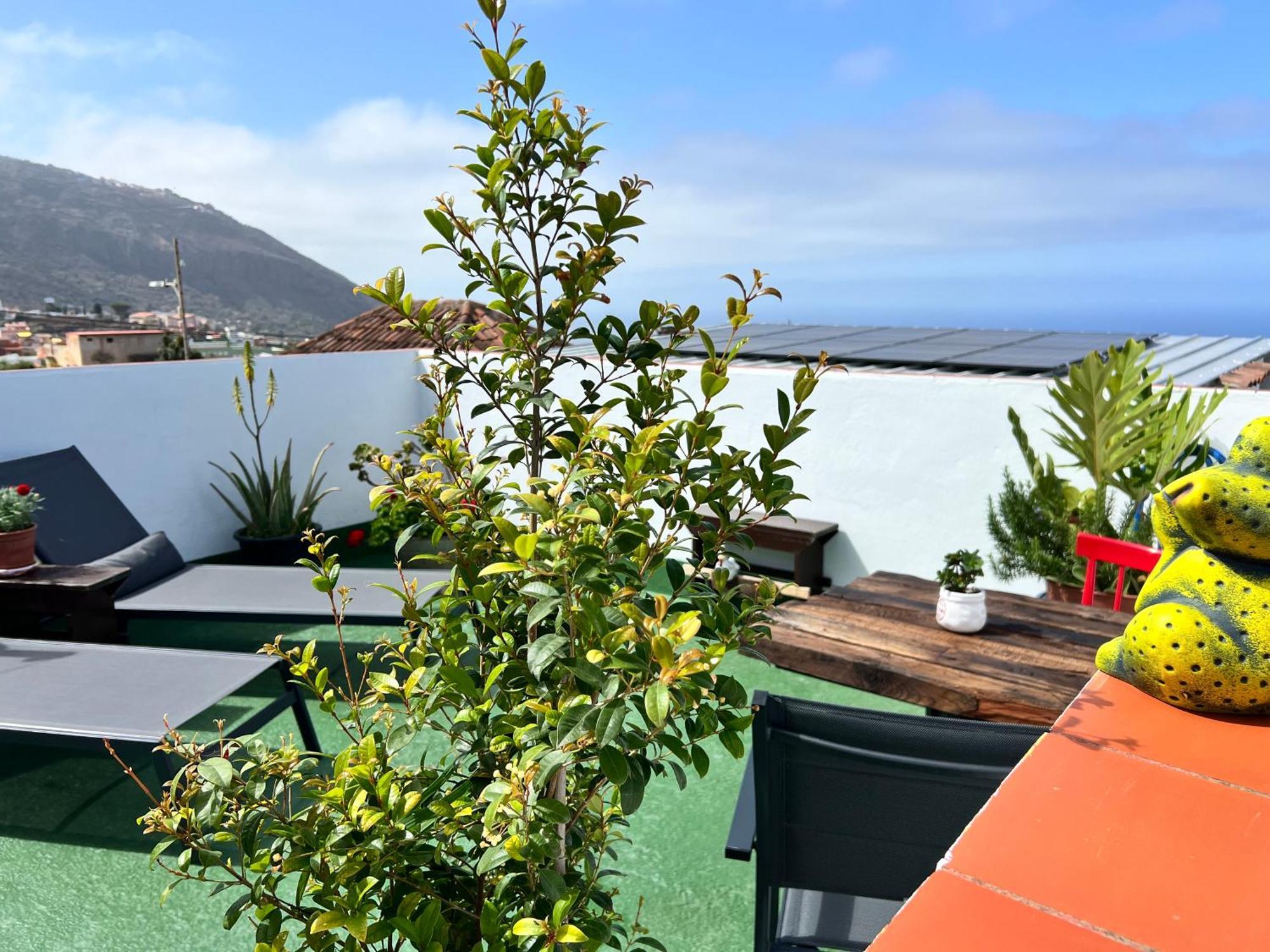 The Zarzamora Canary Little Holiday home Los Realejos