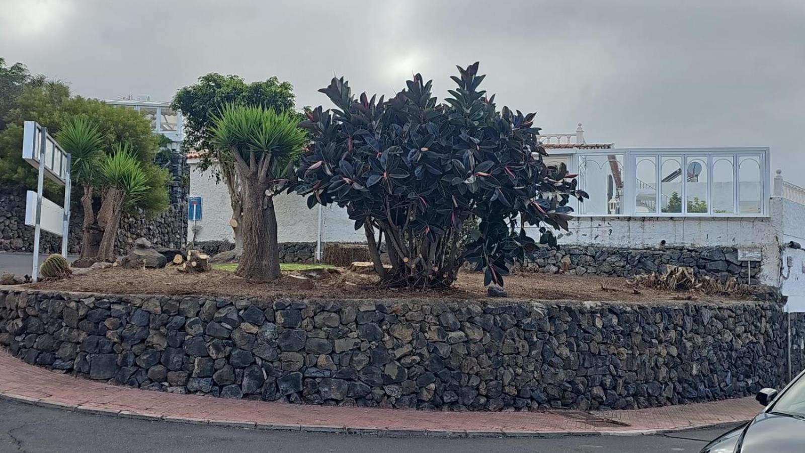 Hibisco * Los Realejos