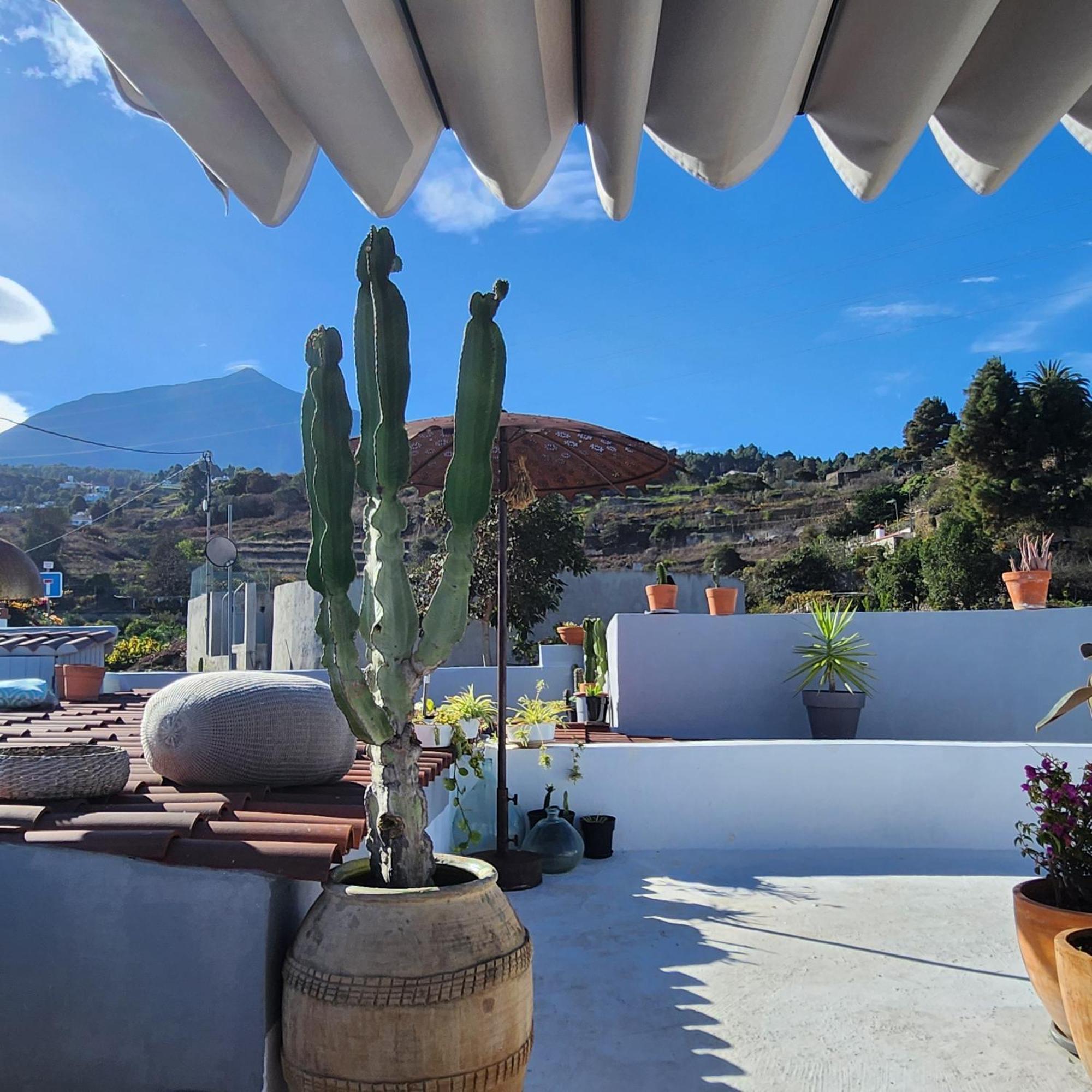 Bed & Breakfast Casa Salvia - Icod - Tenerife