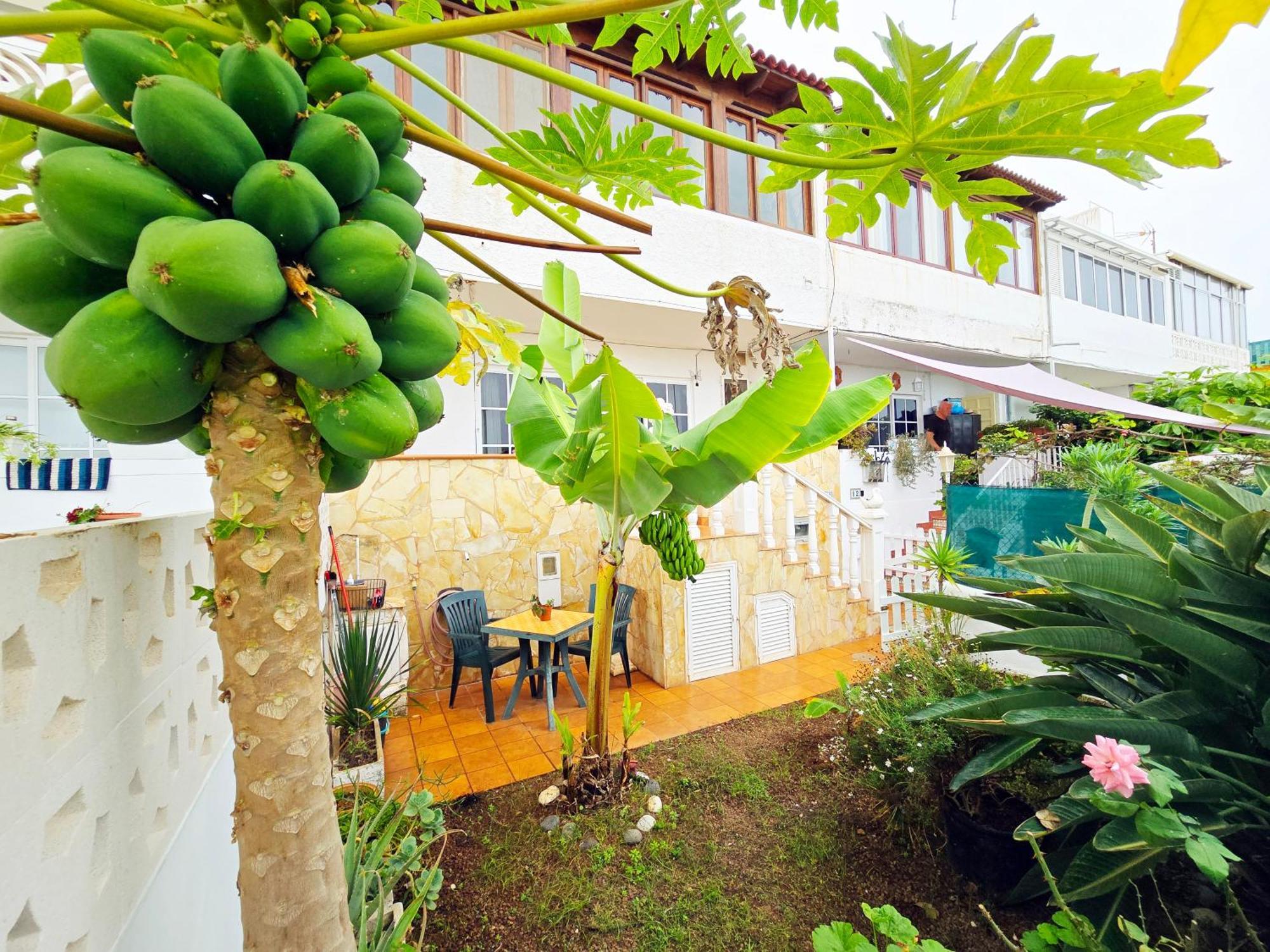 Aa Guest - Romantica Front Sea Views Eco * Los Realejos