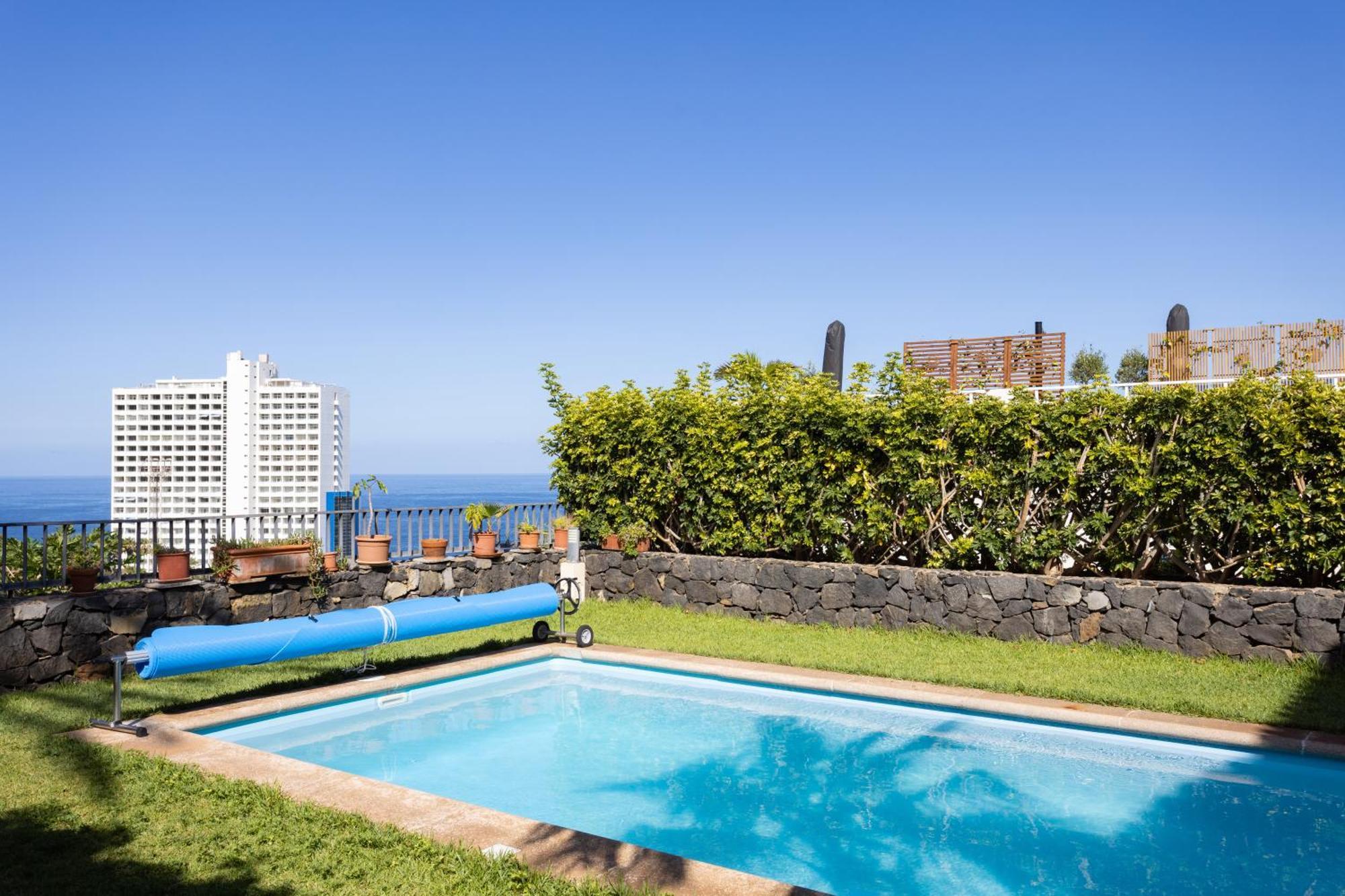 Azalea - Puerto de la Cruz (Tenerife)