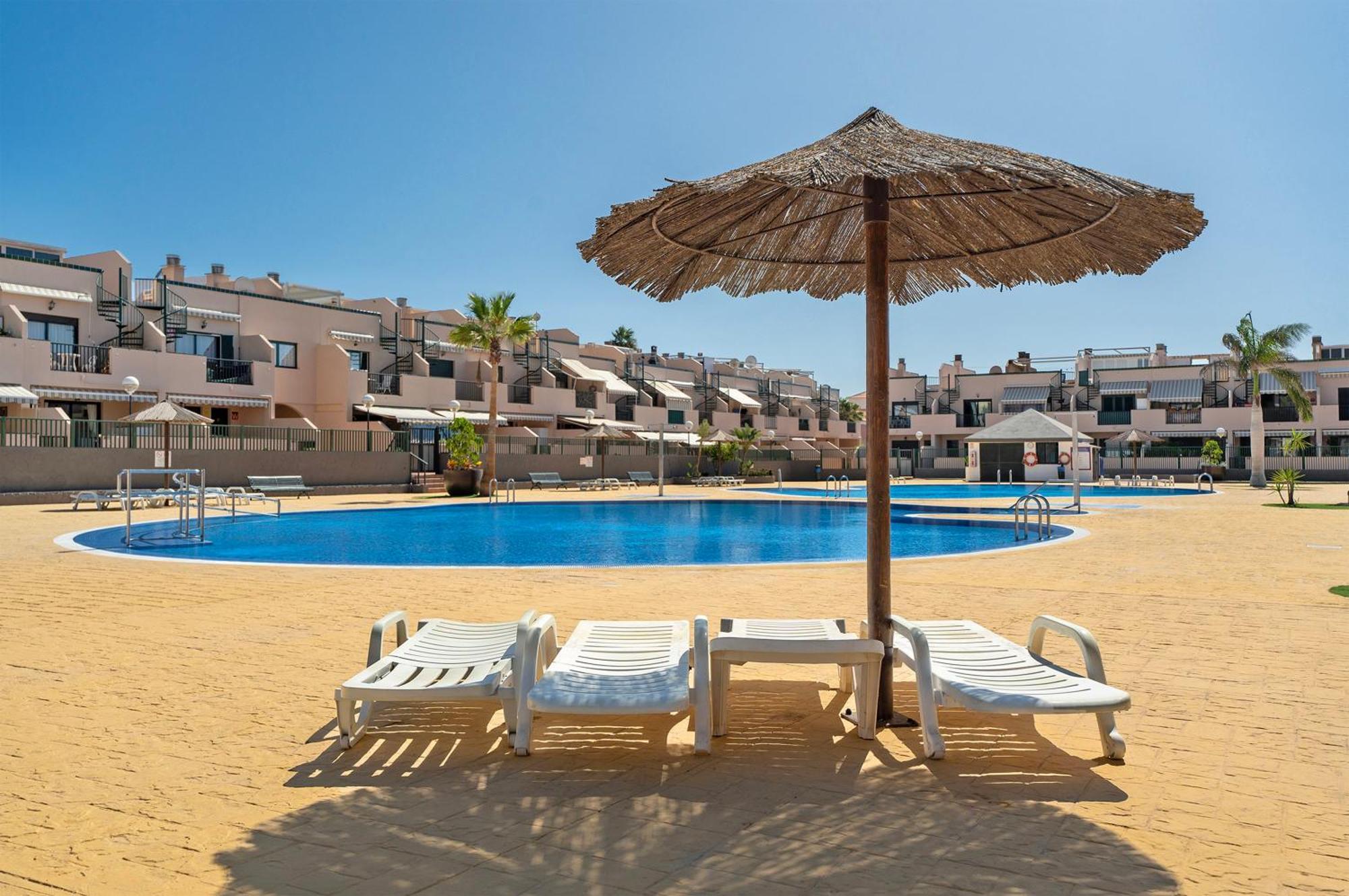 Geranios * Arona (Tenerife)