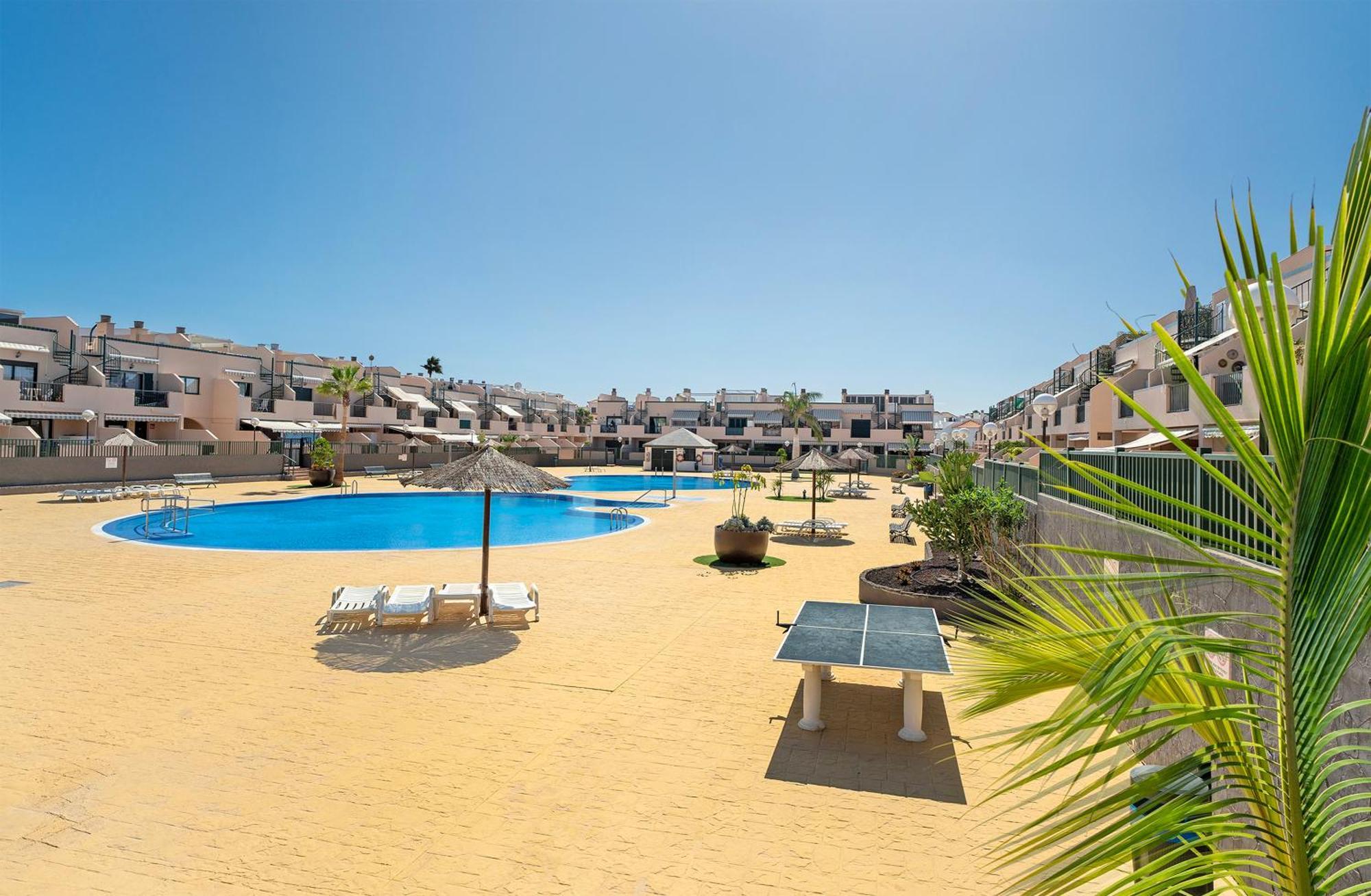 Geranios * Arona (Tenerife)