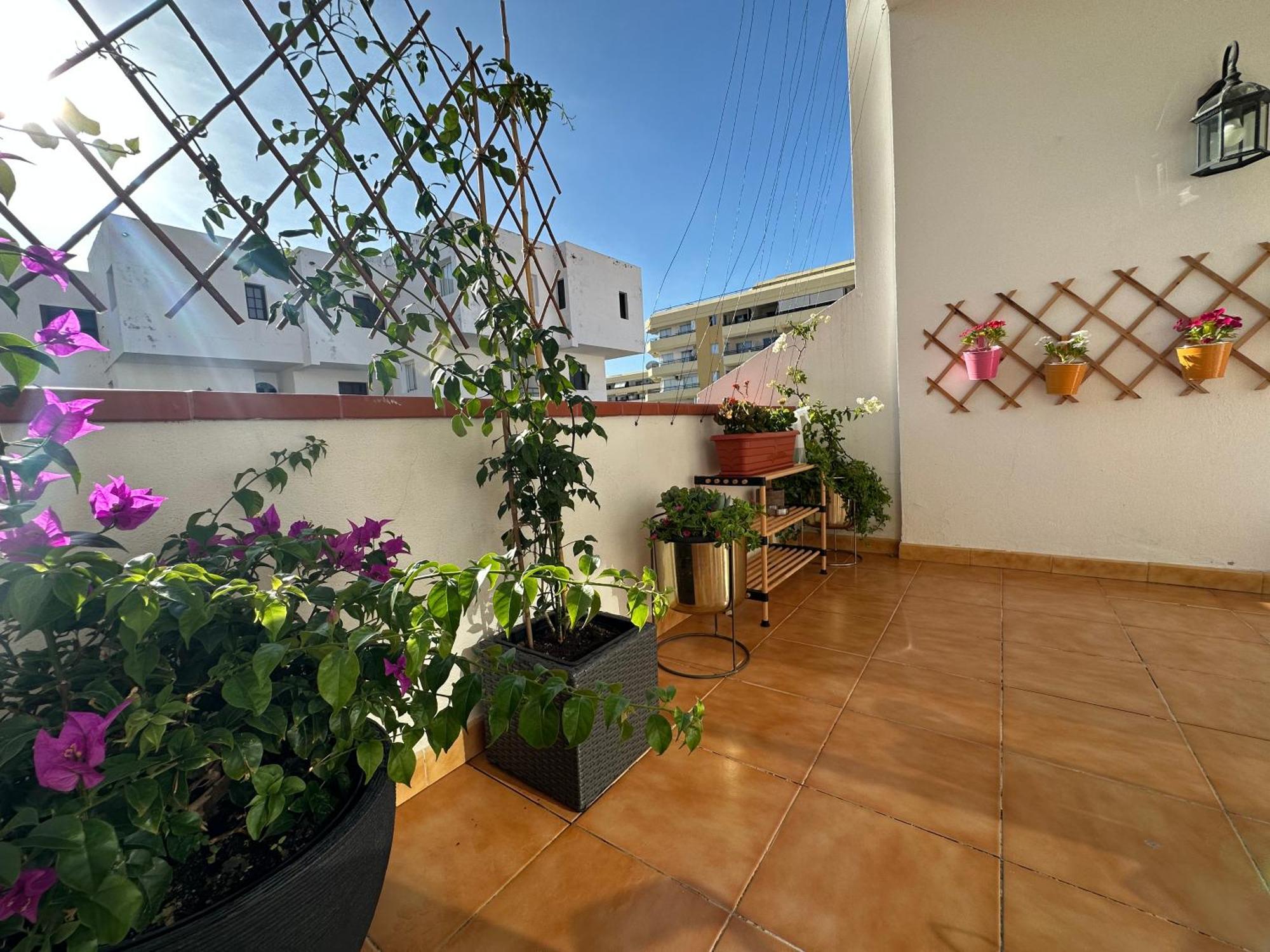 Apartment In Ocean Park Ii, Costa Adeje, Tenerife Costa Adeje (Tenerife)