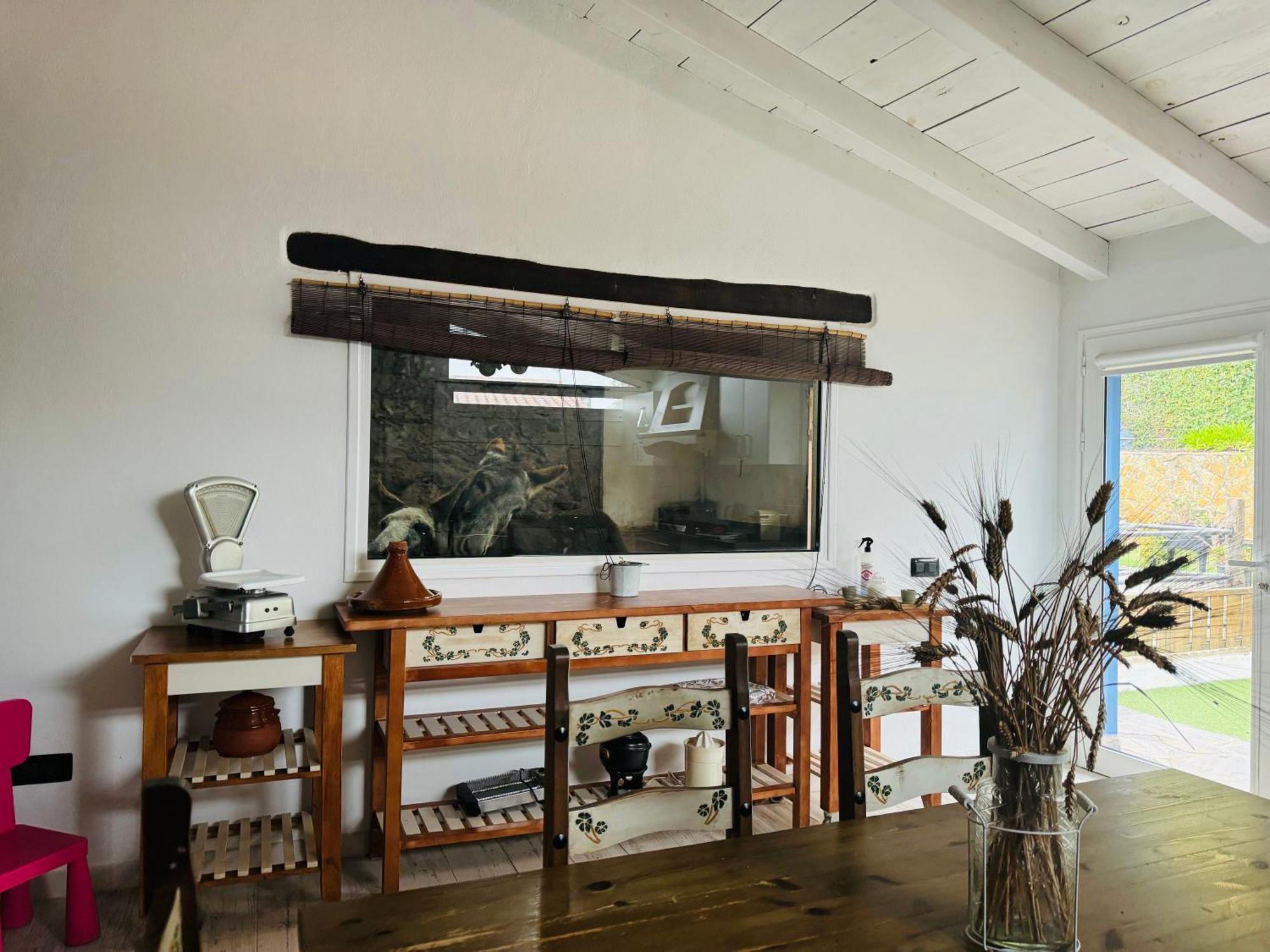 Casa Antigua Holiday home *