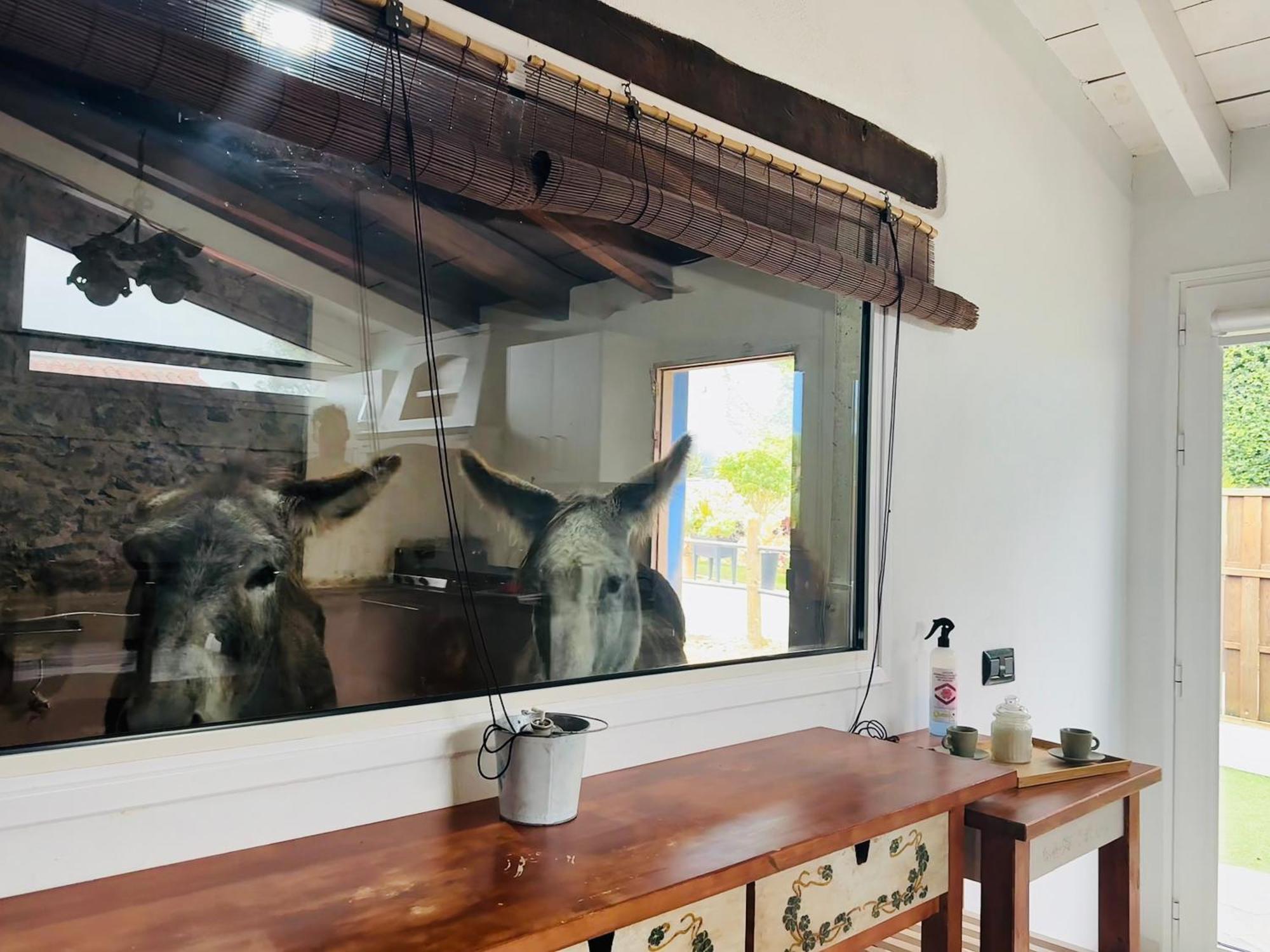 Casa Antigua Сasa de vacaciones *