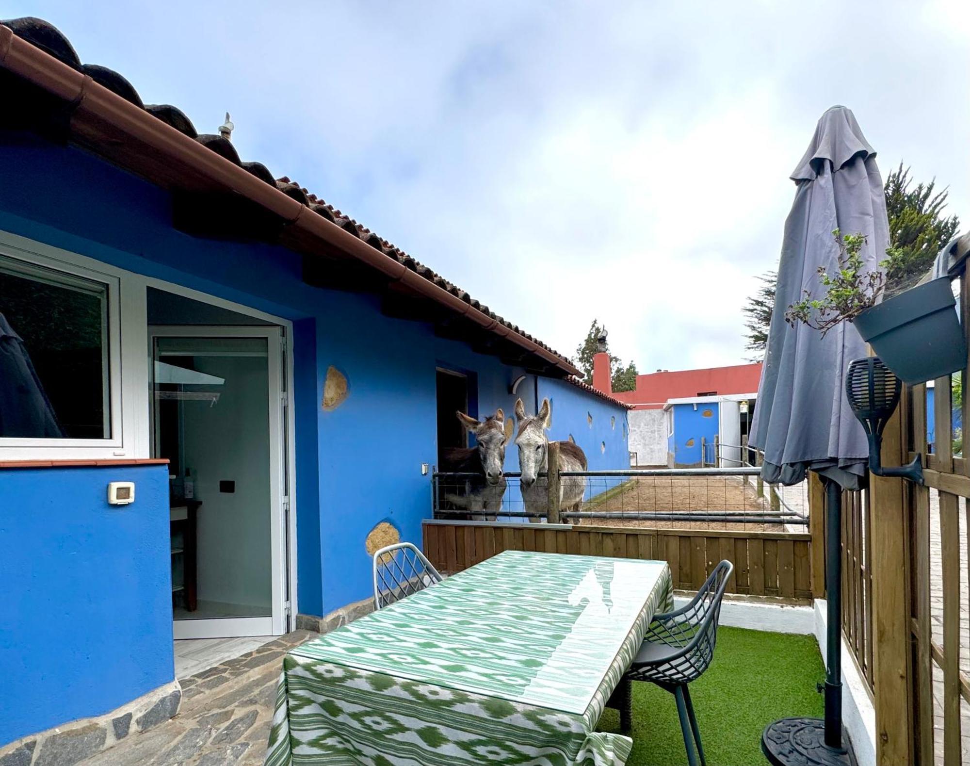 Сasa de vacaciones Casa Antigua *